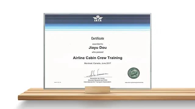IATA accredited cargo agent certificate - Ever Ocean