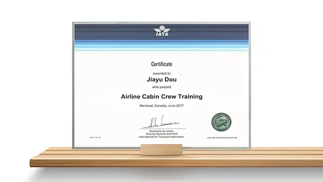 IATA accredited cargo agent certificate - Ever Ocean
